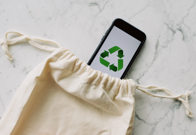 SEO for eco-friendly products